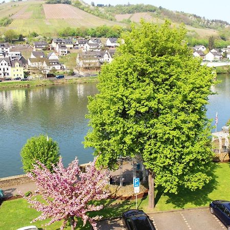 Pension Adelheid Moselhype&Wine Zell an der Mosel Ngoại thất bức ảnh