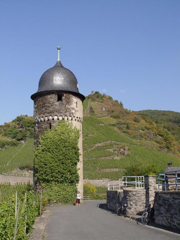 Pension Adelheid Moselhype&Wine Zell an der Mosel Ngoại thất bức ảnh