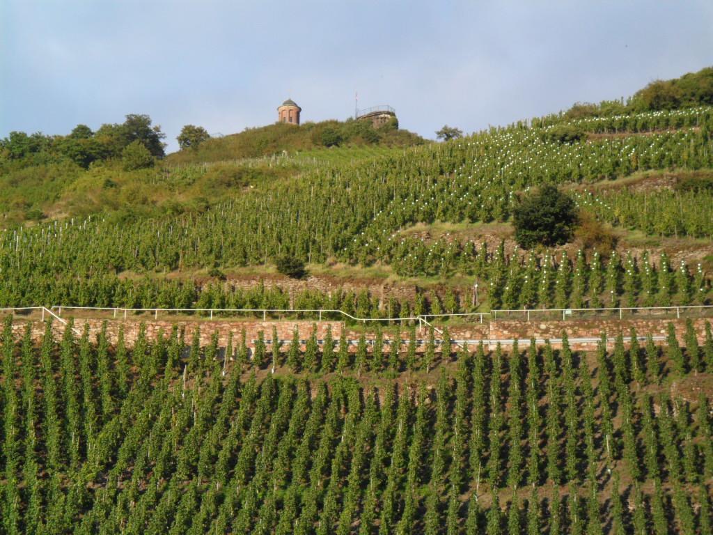 Pension Adelheid Moselhype&Wine Zell an der Mosel Ngoại thất bức ảnh