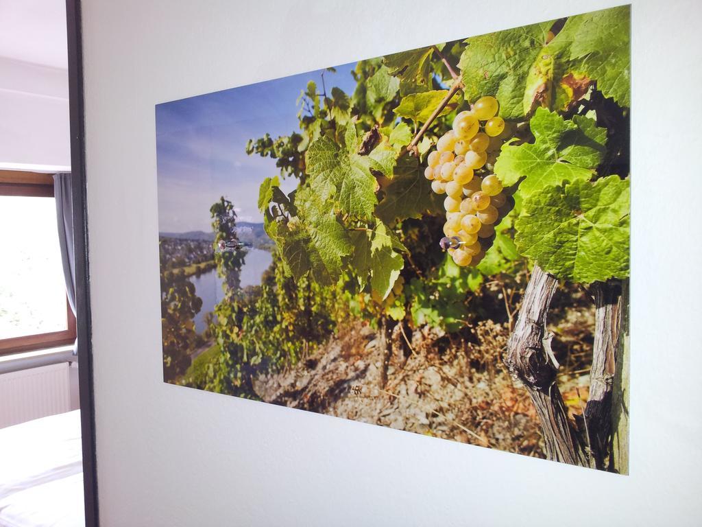 Pension Adelheid Moselhype&Wine Zell an der Mosel Ngoại thất bức ảnh