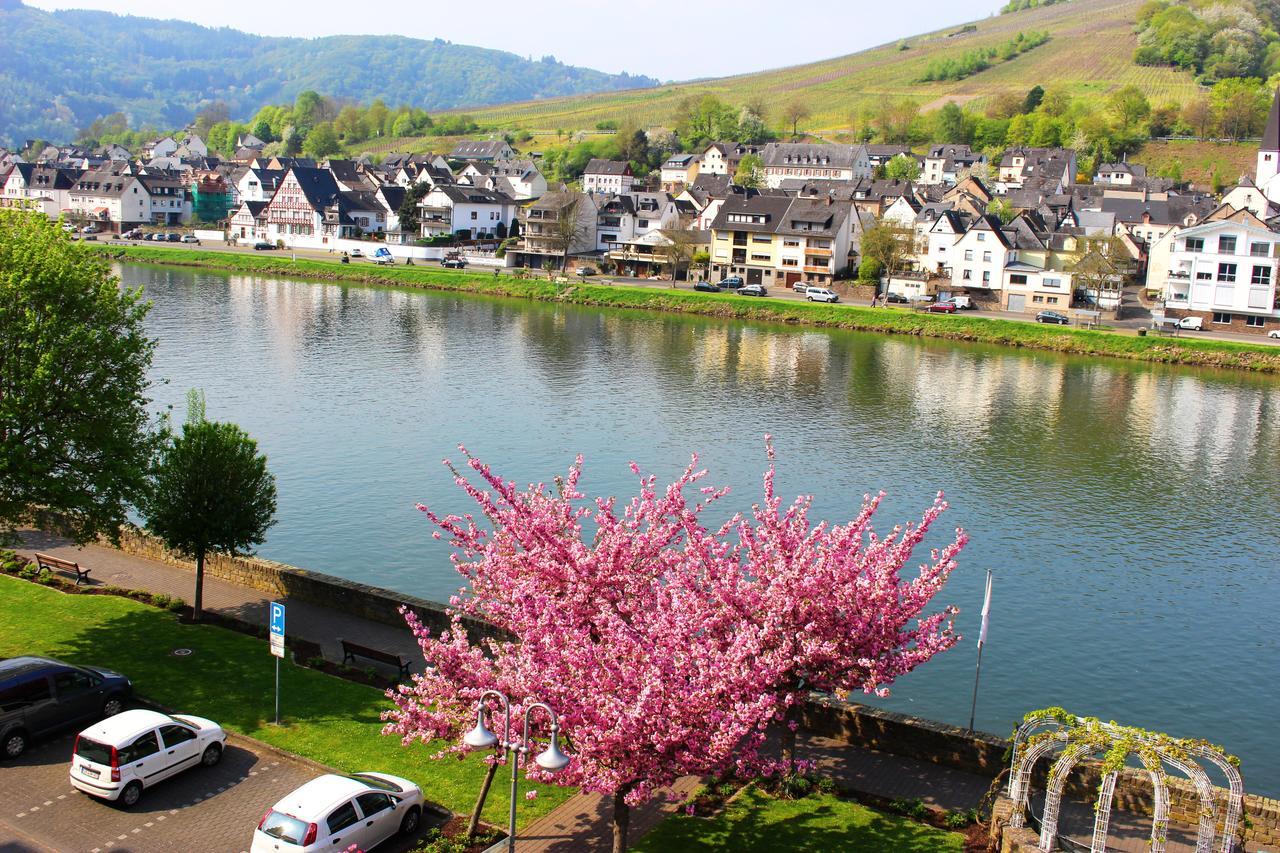 Pension Adelheid Moselhype&Wine Zell an der Mosel Ngoại thất bức ảnh